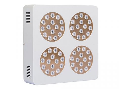 180w, 300w best Apollo LED plant light for with red and blue spectrum