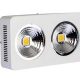 200W, 400W 2 pieces Cree COB chips indoor LED grow light