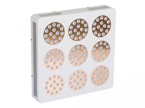 385w, 675w Apollo horticulture led grow light from China factory