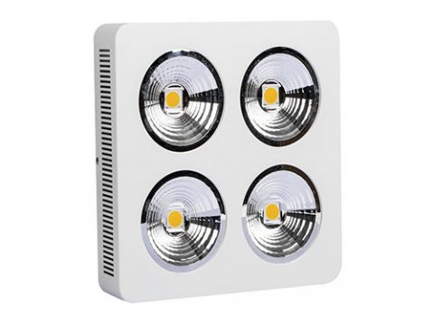 400W, 800W Cree chips indoor LED plant light with reflector