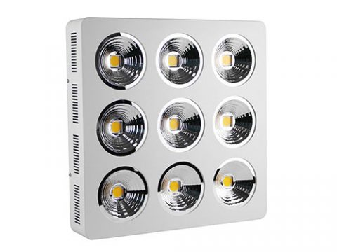 900w, 1800w best quality COB LED grow lights for home gardening
